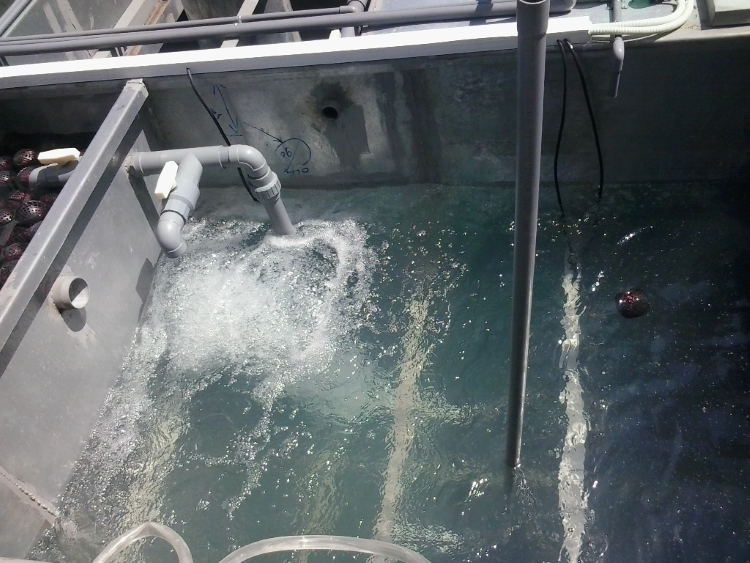 PAC Xử l&yacute; nước thải 