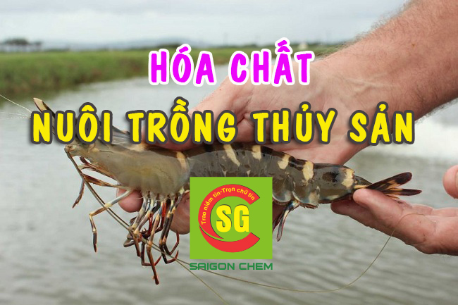 HÓA CHẤT NUÔI TRỒNG THỦY SẢN