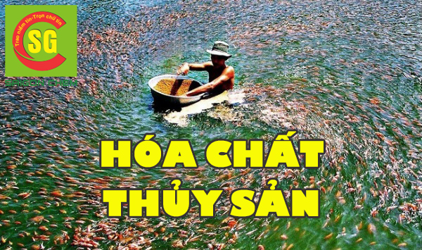 HÓA CHẤT THỦY SẢN