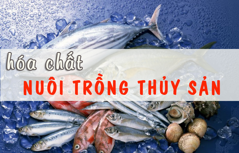 Hóa chất nuôi trồng thủy sản giá rẻ TP HCM