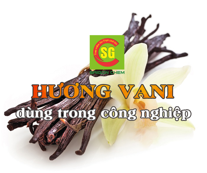 HƯƠNG VANI