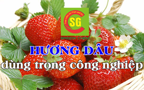 HƯƠNG D&Acirc;U