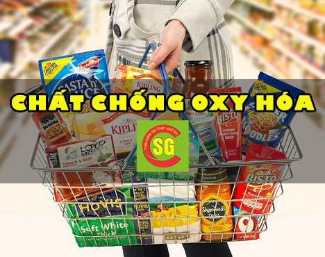 chất chống oxy hóa