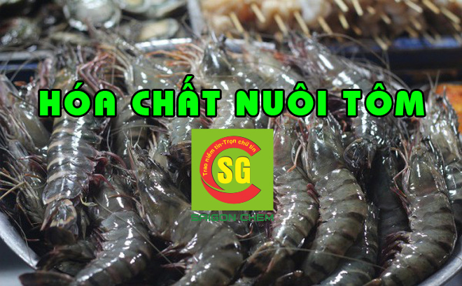 H&Oacute;A CHẤT NU&Ocirc;I T&Ocirc;M
