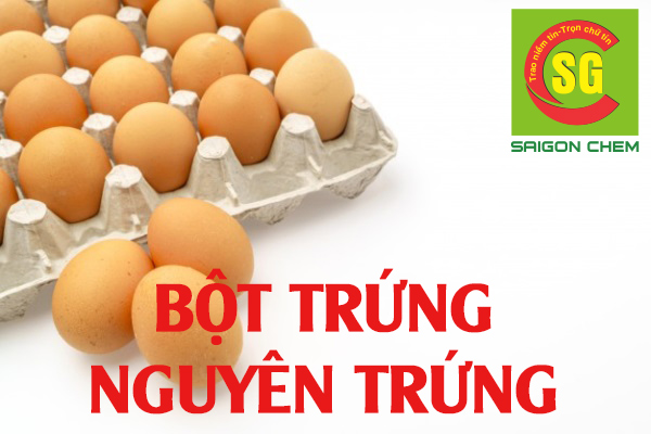 bột nguyên trứng