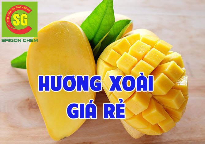HƯƠNG XOÀI GIÁ RẺ
