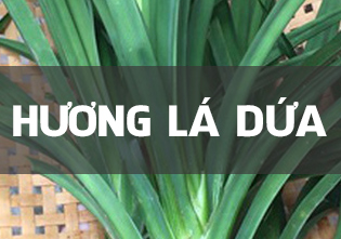 HƯƠNG L&Aacute; DỨA