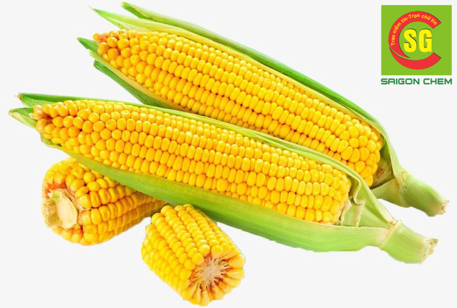 hương bắp thực phẩm